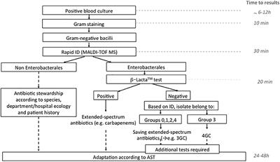 Evaluation of Two Methods for the Detection of Third Generation Cephalosporins Resistant Enterobacterales Directly From Positive Blood Cultures